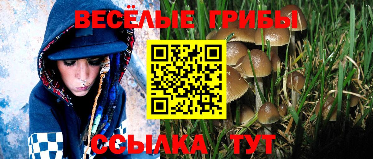 Ангарск  Галлюциногенные грибы Cubensis  Вход с VPN 