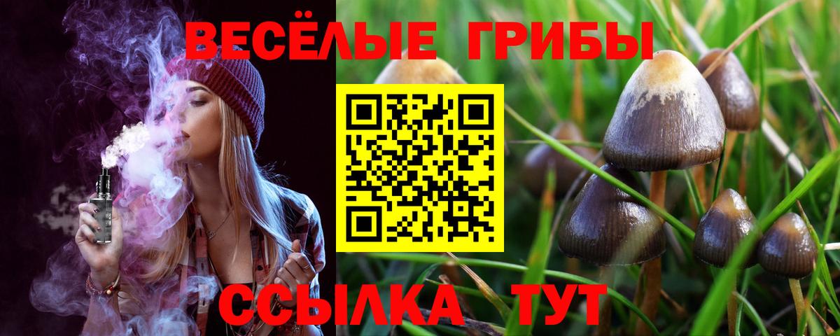 Псилоцибиновые грибы Magic Shrooms Ангарск